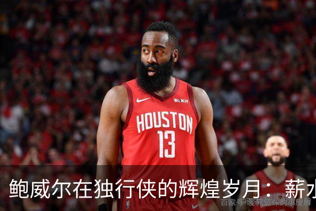 鲍威尔在独行侠的辉煌岁月：薪水累计达到8486万美元